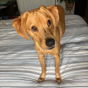 Meet your Posher, Ali